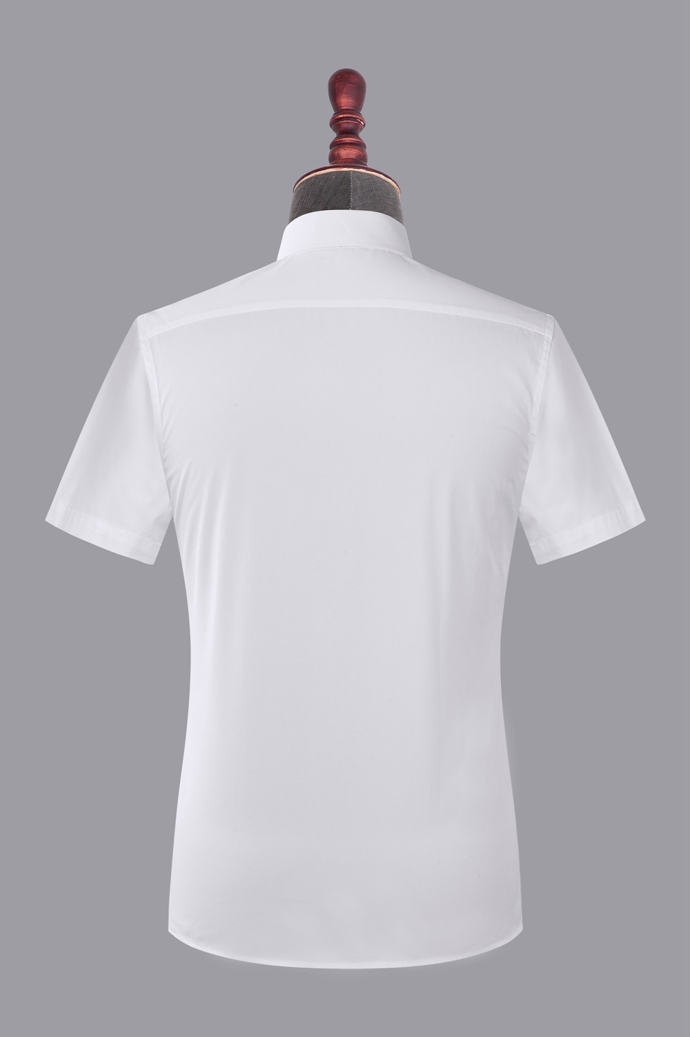 IMG_5504.jpg IMG_5504.jpg